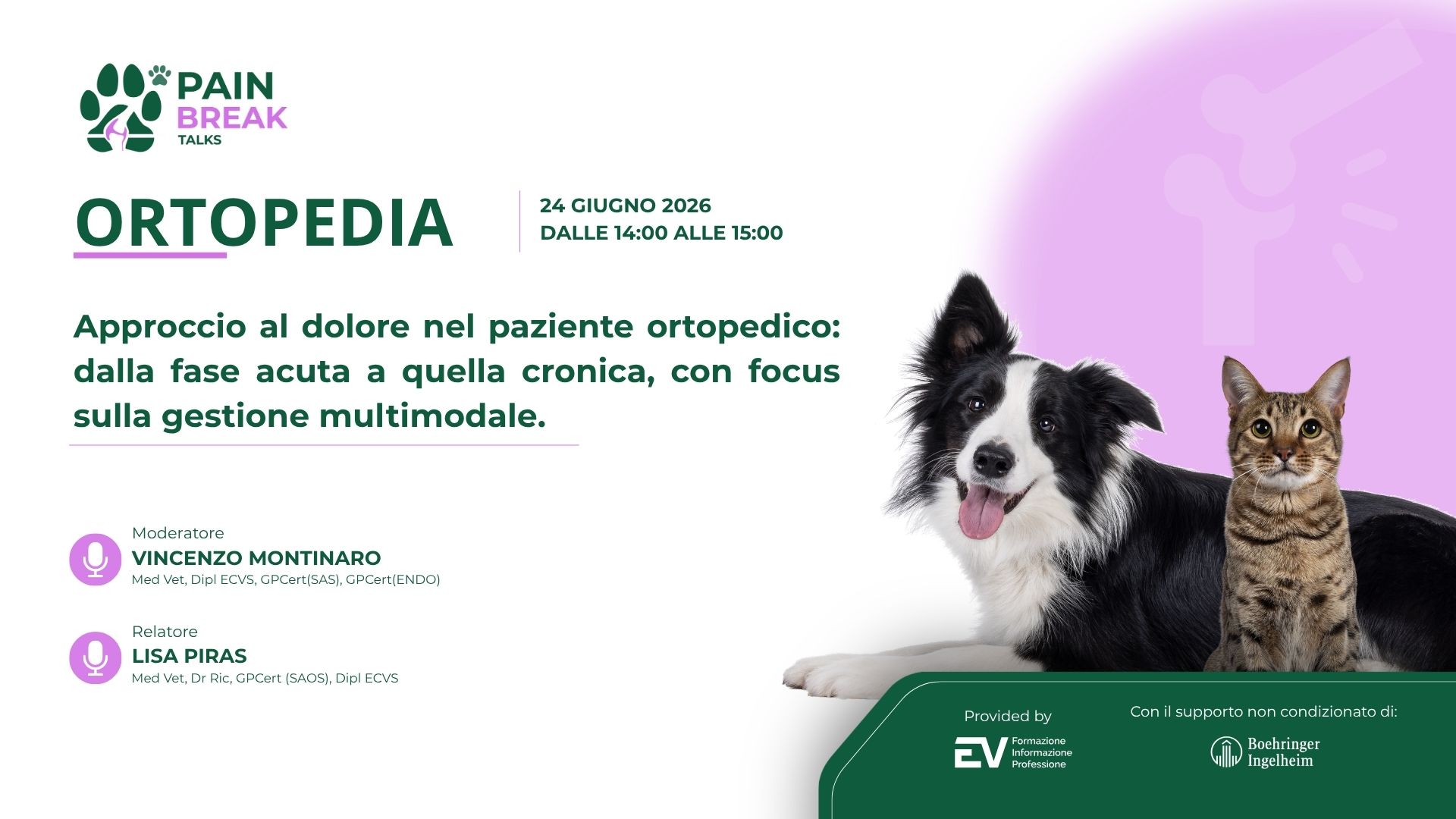 Anteprima Ortopedia